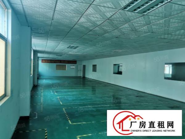  塘厦林村惊现1600平独院钢结构厂房！带隔热层原房东拎包生产