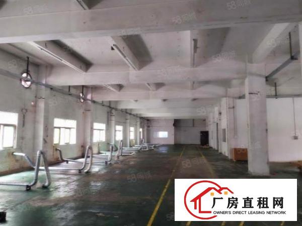  发财靓厂房！原房东独门独院7000平方，只要12元！