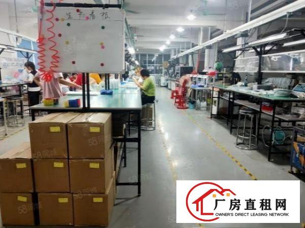  塘厦石鼓出租标准厂房楼上1200平方，现成精装修水电齐全