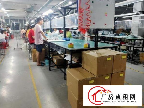  塘厦石鼓出租标准厂房楼上1200平方，现成精装修水电齐全