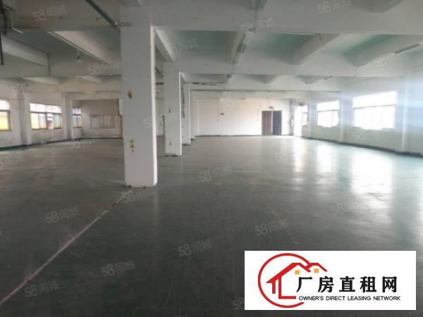  塘厦龙背岭新出标准厂房4800平，现成装修近高速，香港原房东