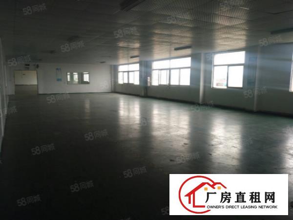 塘厦龙背岭新出标准厂房4800平，现成装修近高速，香港原房东