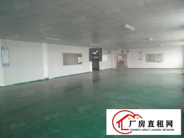  塘厦龙背岭新出标准厂房4800平，现成装修近高速，香港原房东