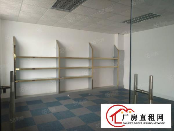  塘厦龙背岭新出标准厂房4800平，现成装修近高速，香港原房东