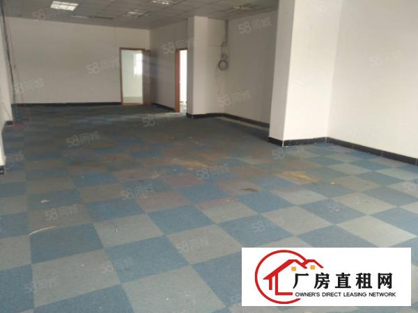  塘厦龙背岭新出标准厂房4800平，现成装修近高速，香港原房东