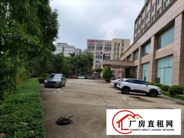  凤岗雁田第三工业区3万平方独院整栋厂房出租空地超大环境优美