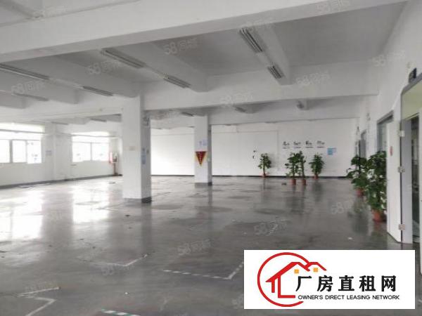  塘厦莲湖缤纷广场旁独院3楼850平方！周边人气旺！易招工