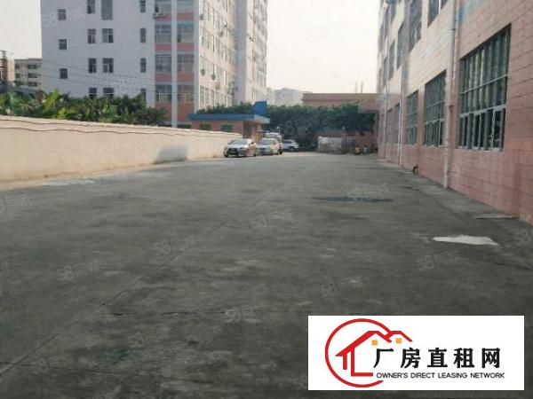  塘厦莲湖缤纷广场旁独院3楼850平方！周边人气旺！易招工
