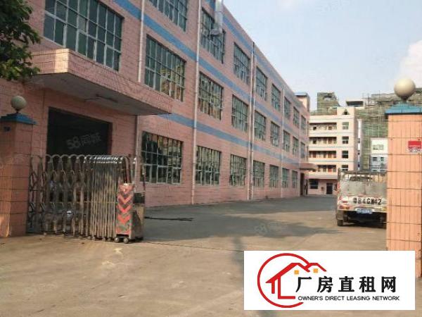  塘厦莲湖缤纷广场旁独院3楼850平方！周边人气旺！易招工