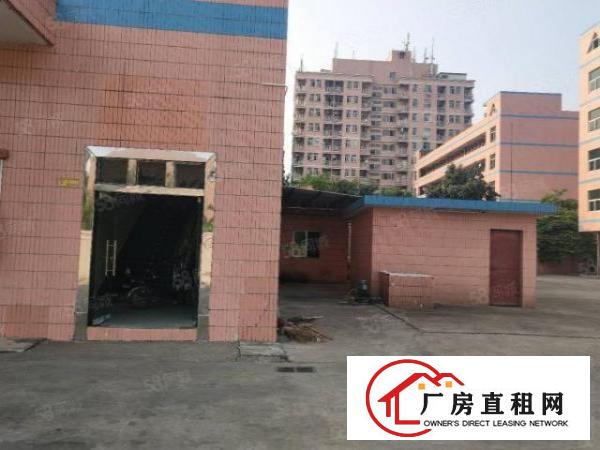  塘厦莲湖缤纷广场旁独院3楼850平方！周边人气旺！易招工