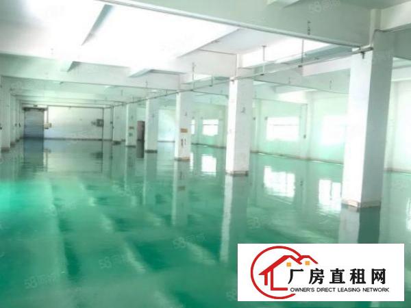 独院！塘厦振兴围楼上1100平无尘车间厂房出租带电梯水电