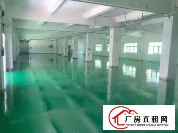  独院！塘厦振兴围楼上1100平无尘车间厂房出租带电梯水电