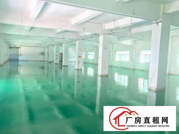  独院！塘厦振兴围楼上1100平无尘车间厂房出租带电梯水电