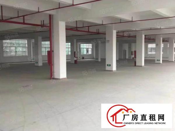  塘厦横塘新出独院厂房7638平米标准厂房出租