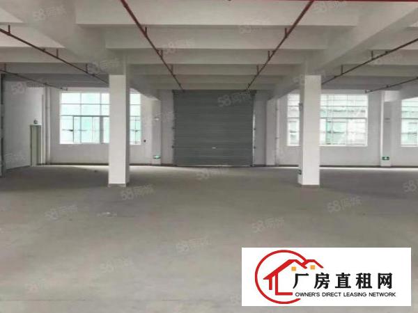  塘厦横塘新出独院厂房7638平米标准厂房出租