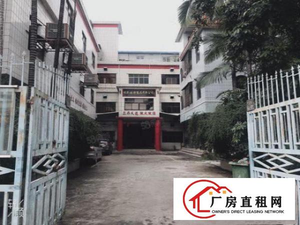  塘厦诸佛岭1100平方2楼厂房仓库冷库低价出租！空间大有绿化