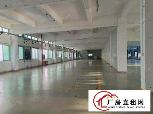  塘厦莆心湖独院标准3楼1300平！灰色地平漆装修实拍视频图片