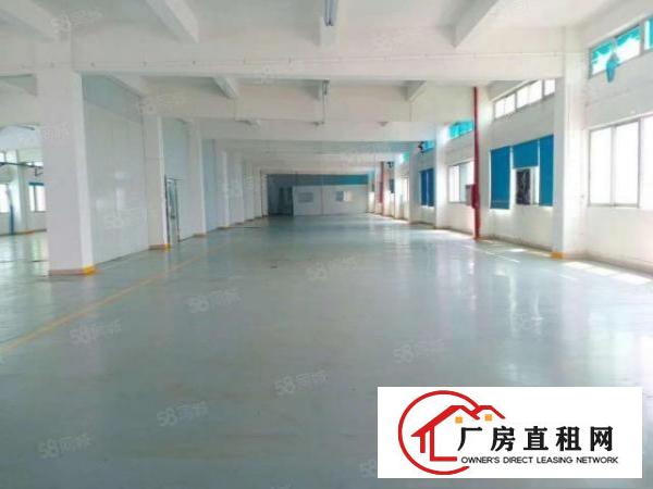  塘厦莆心湖独院标准3楼1300平！灰色地平漆装修实拍视频图片