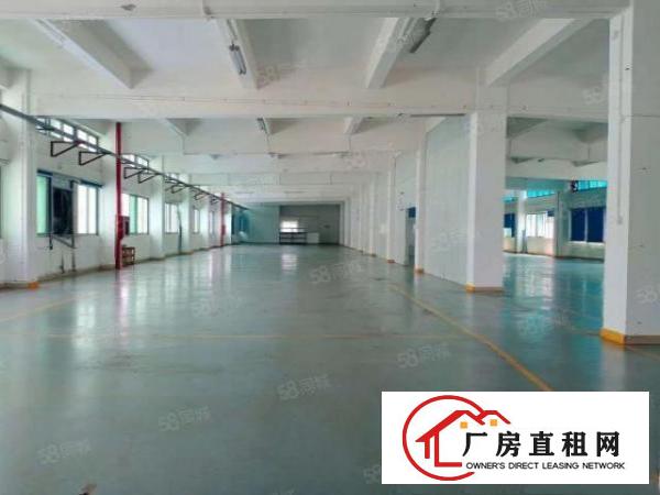  塘厦莆心湖独院标准3楼1300平！灰色地平漆装修实拍视频图片