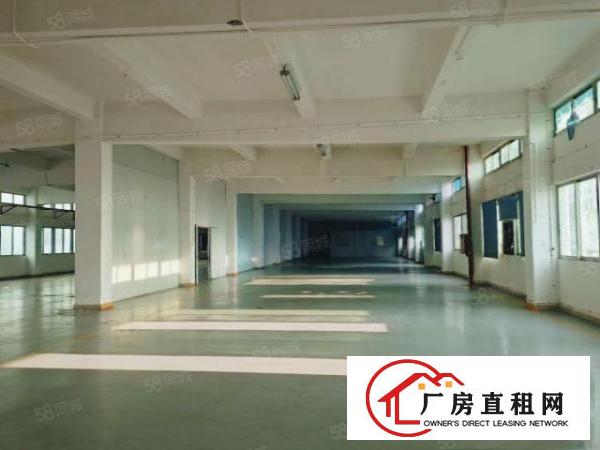  塘厦莆心湖独院标准3楼1300平！灰色地平漆装修实拍视频图片