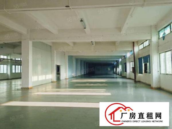  塘厦莆心湖独院标准3楼1300平！灰色地平漆装修实拍视频图片