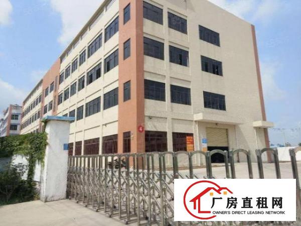  塘厦莆心湖独院标准3楼1300平！灰色地平漆装修实拍视频图片