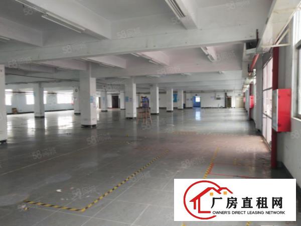  塘厦科苑城刚空出10000平标准厂房，行业不限原房东