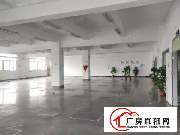  塘厦科苑城刚空出10000平标准厂房，行业不限原房东