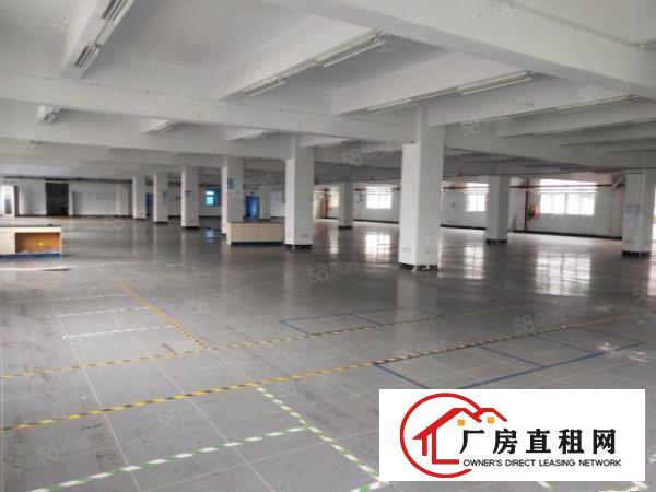  塘厦科苑城刚空出10000平标准厂房，行业不限原房东