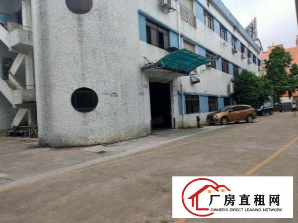  塘厦四村新出标准厂房一楼480平方，有办公室装修，现成水电