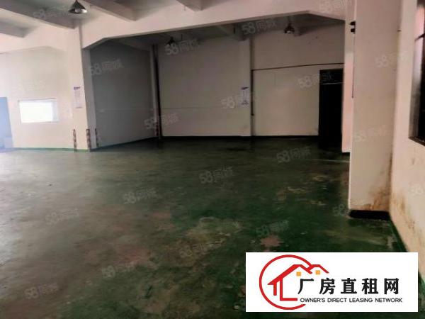  塘厦四村新出标准厂房一楼480平方，有办公室装修，现成水电