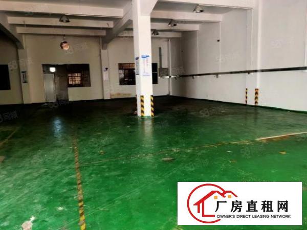  塘厦四村新出标准厂房一楼480平方，有办公室装修，现成水电