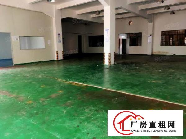  塘厦四村新出标准厂房一楼480平方，有办公室装修，现成水电