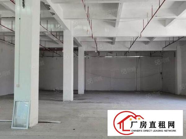  塘厦林村新出一楼标准厂房830平出租价格便宜大货车随意掉