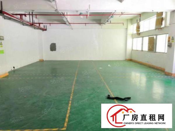  塘厦石潭布工业园里350平三楼厂房出租，有地坪漆装修，办公室