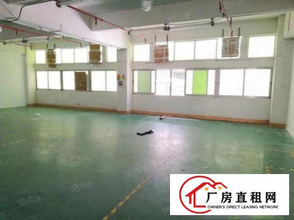  塘厦石潭布工业园里350平三楼厂房出租，有地坪漆装修，办公室