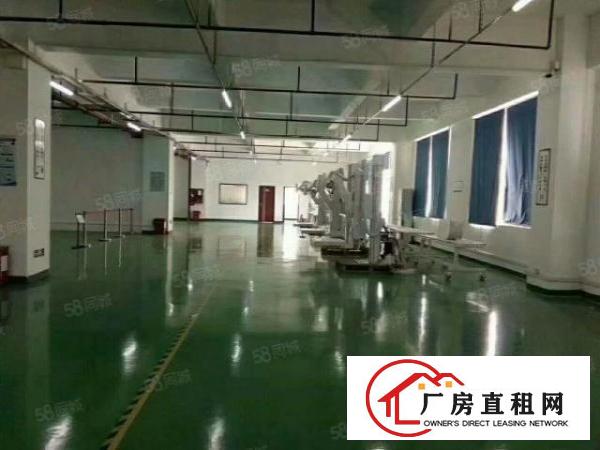  塘厦科苑城独院7500平方！带红本！形象好！近高速