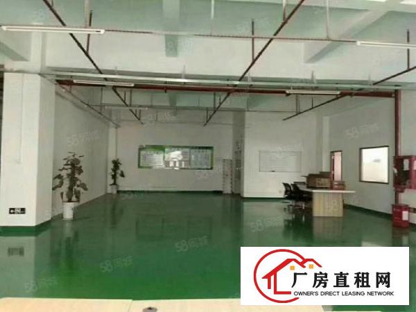  塘厦科苑城独院7500平方！带红本！形象好！近高速