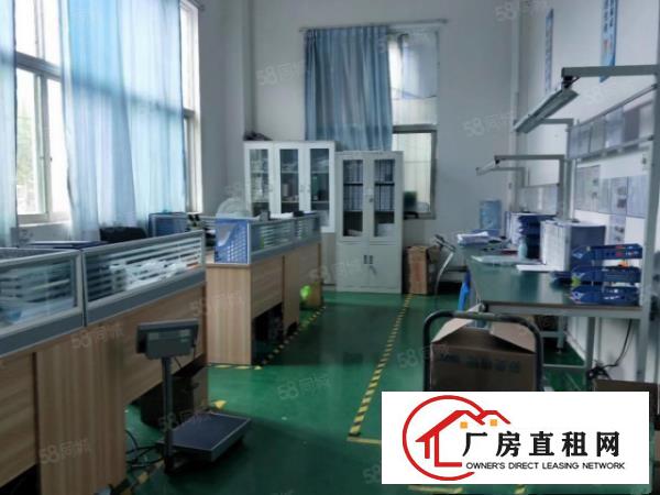  塘厦新出笋盘！园区内一楼768平，现成装修主线，拎包入驻！