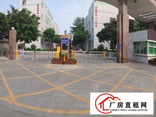  塘厦科技园原房东多栋厂房出租1100平注塑前台环境优美地坪漆