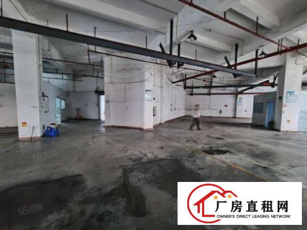  塘厦科技园原房东多栋厂房出租1100平注塑前台环境优美地坪漆