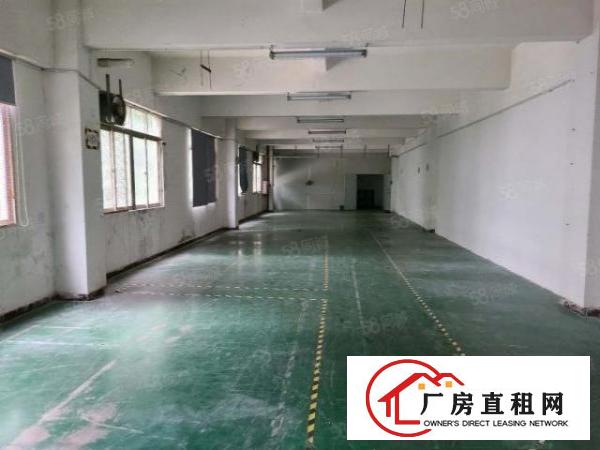  塘厦科技园原房东多栋厂房出租1100平注塑前台环境优美地坪漆
