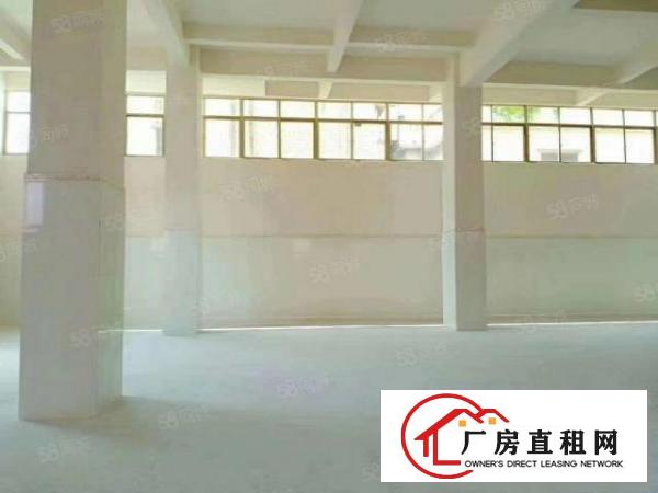  11元厂房靓爆出租！塘厦全新带装修带电梯单层420平厂房直招