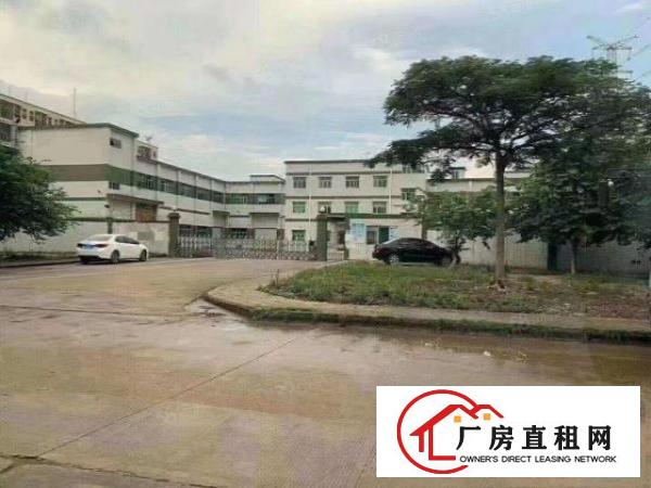  出租|塘厦平山独院标准厂房10000平空地超大一楼带牛脚位