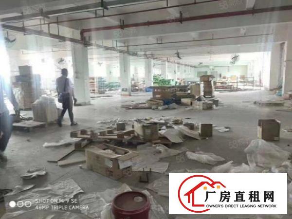  出租|塘厦平山独院标准厂房10000平空地超大一楼带牛脚位