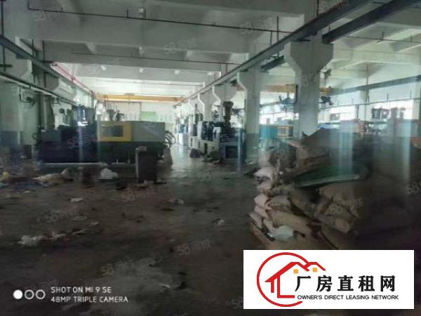  出租|塘厦平山独院标准厂房10000平空地超大一楼带牛脚位