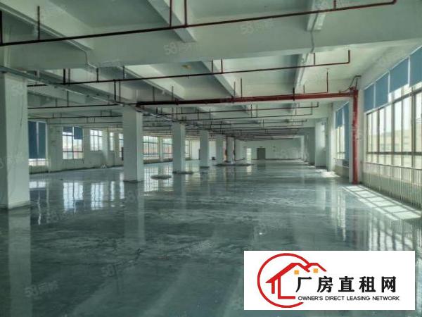  塘厦沙湖工业园二楼1700平方现成装修厂房出租，带有消防喷淋