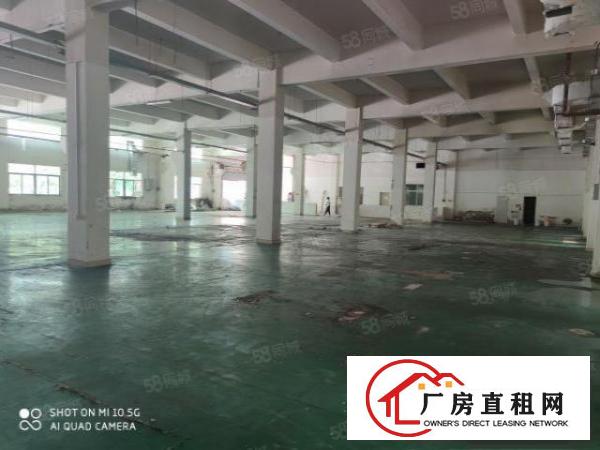  塘厦镇厂房出租大坪高速出口独门独院8000平方