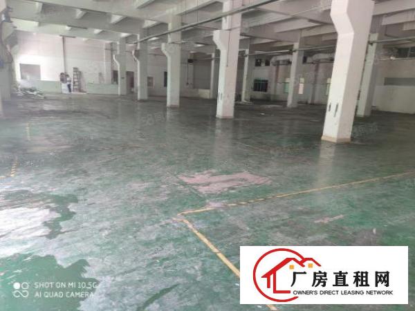  塘厦镇厂房出租大坪高速出口独门独院8000平方