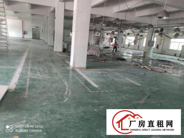  塘厦镇厂房出租大坪高速出口独门独院8000平方